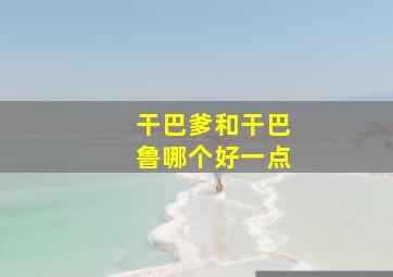 干巴爹和干巴鲁哪个好一点