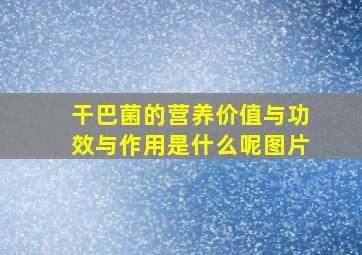 干巴菌的营养价值与功效与作用是什么呢图片