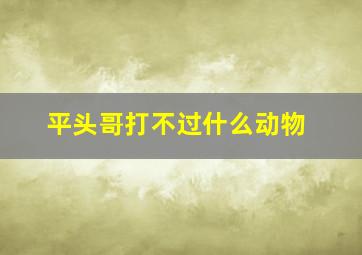 平头哥打不过什么动物