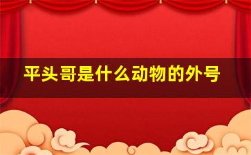 平头哥是什么动物的外号