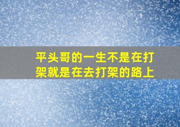 平头哥的一生不是在打架就是在去打架的路上