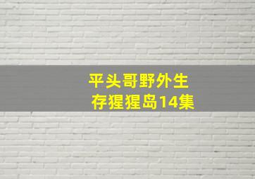 平头哥野外生存猩猩岛14集