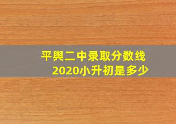 平舆二中录取分数线2020小升初是多少