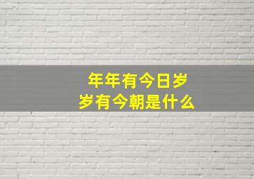 年年有今日岁岁有今朝是什么