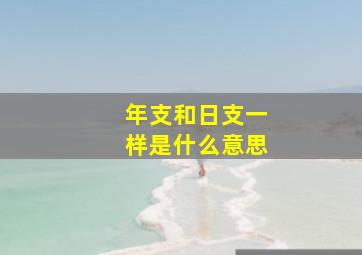 年支和日支一样是什么意思