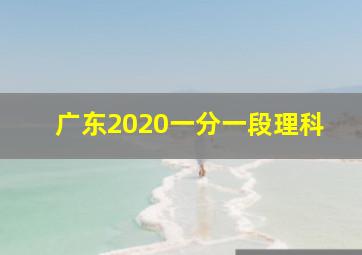 广东2020一分一段理科