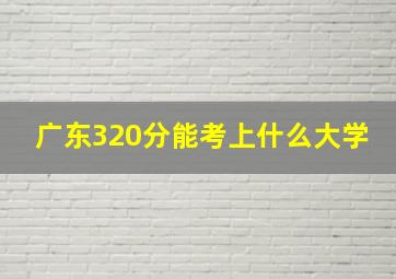 广东320分能考上什么大学