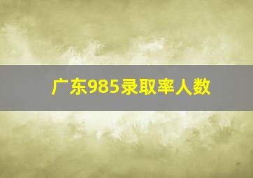 广东985录取率人数