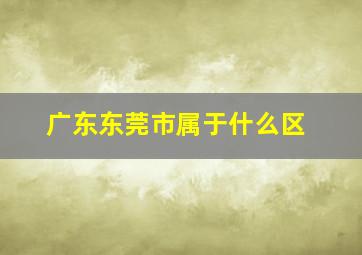 广东东莞市属于什么区