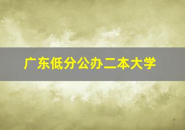 广东低分公办二本大学