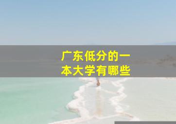 广东低分的一本大学有哪些