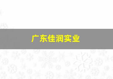 广东佳润实业