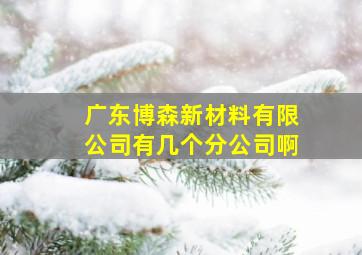 广东博森新材料有限公司有几个分公司啊