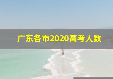 广东各市2020高考人数