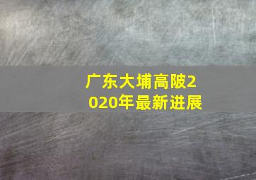 广东大埔高陂2020年最新进展