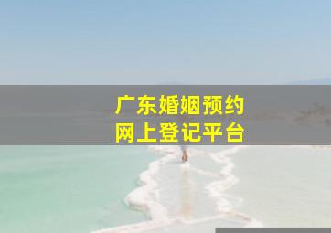 广东婚姻预约网上登记平台