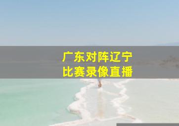 广东对阵辽宁比赛录像直播