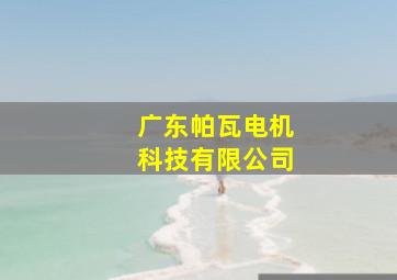 广东帕瓦电机科技有限公司