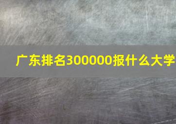 广东排名300000报什么大学