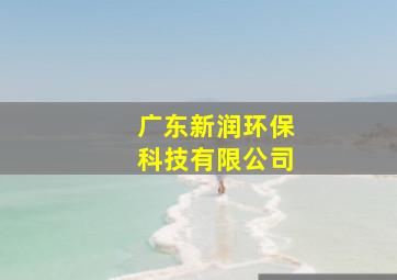 广东新润环保科技有限公司