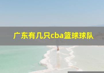 广东有几只cba篮球球队