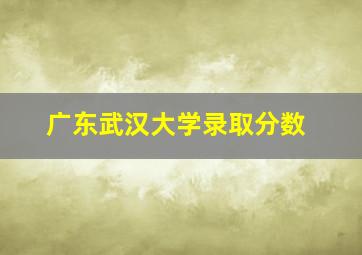 广东武汉大学录取分数