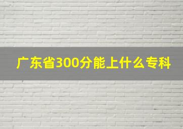 广东省300分能上什么专科