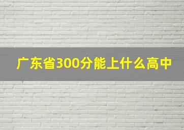 广东省300分能上什么高中