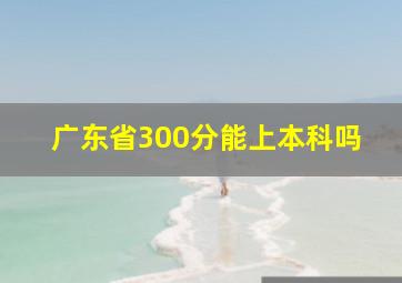 广东省300分能上本科吗