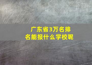 广东省3万名排名能报什么学校呢