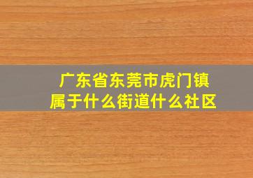 广东省东莞市虎门镇属于什么街道什么社区