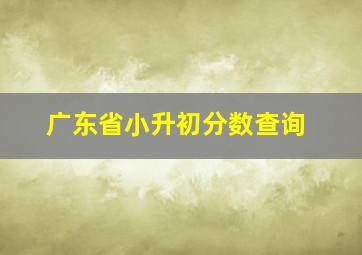 广东省小升初分数查询