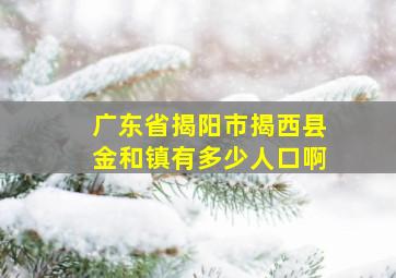 广东省揭阳市揭西县金和镇有多少人口啊