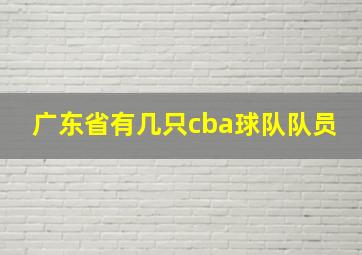 广东省有几只cba球队队员