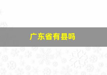 广东省有县吗