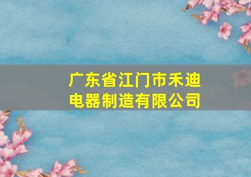 广东省江门市禾迪电器制造有限公司