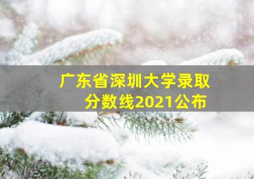 广东省深圳大学录取分数线2021公布