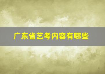 广东省艺考内容有哪些