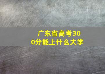 广东省高考300分能上什么大学