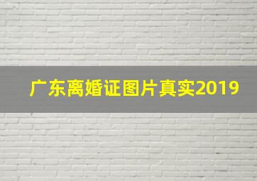 广东离婚证图片真实2019