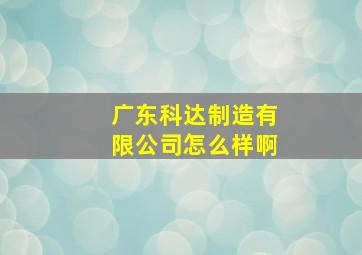 广东科达制造有限公司怎么样啊