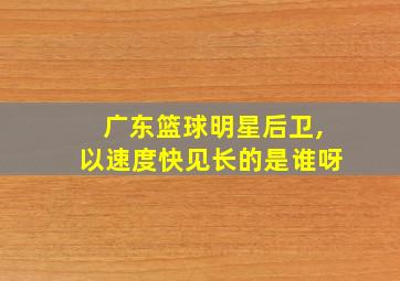 广东篮球明星后卫,以速度快见长的是谁呀