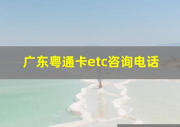 广东粤通卡etc咨询电话