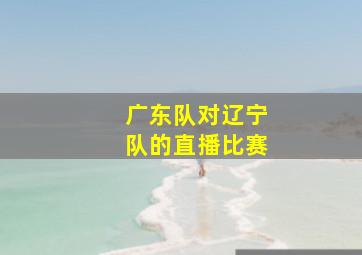 广东队对辽宁队的直播比赛