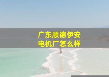 广东顺德伊安电机厂怎么样