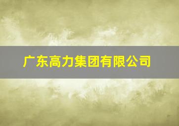 广东高力集团有限公司