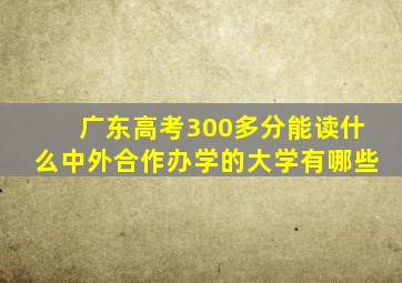 广东高考300多分能读什么中外合作办学的大学有哪些