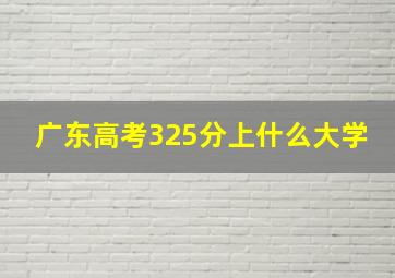 广东高考325分上什么大学