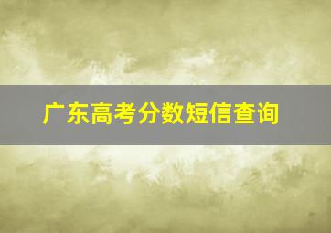 广东高考分数短信查询