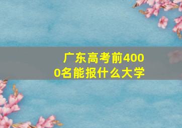 广东高考前4000名能报什么大学